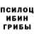 Псилоцибиновые грибы Psilocybine cubensis Damirka10