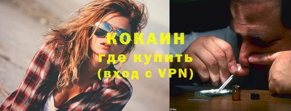 крисы Козельск