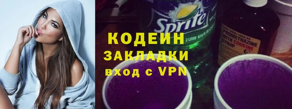 крисы Козельск