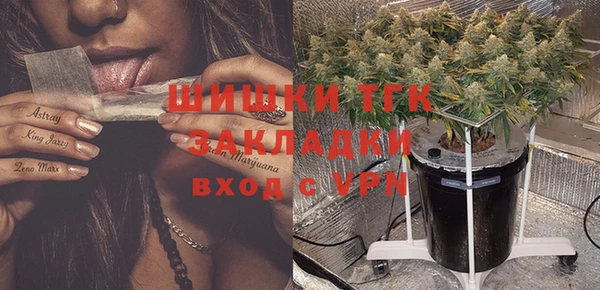 тгк Козловка
