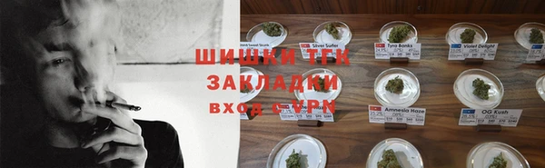 крисы Козельск