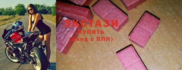 крисы Козельск