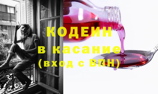 крисы Козельск