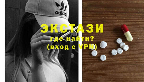 крисы Козельск
