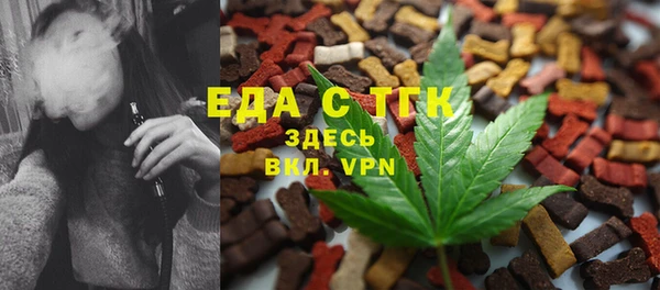 крисы Козельск