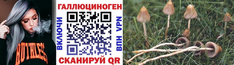 Псилоцибиновые грибы мухоморы  Чебаркуль 