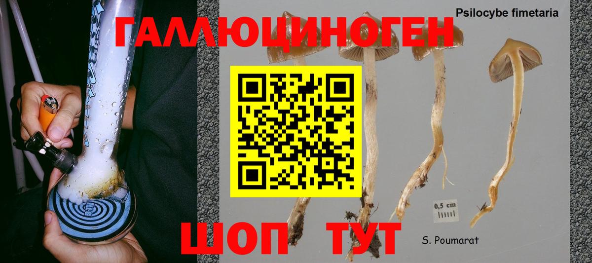 Псилоцибиновые грибы MAGIC MUSHROOMS Чебаркуль