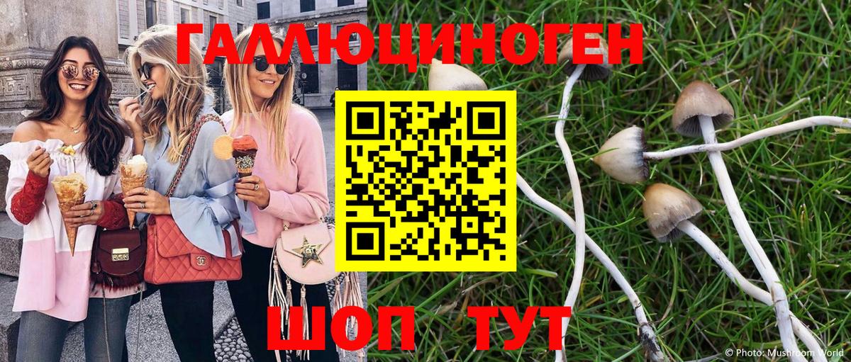 Чебаркуль  Галлюциногенные грибы Magic Shrooms  Вход с VPN 